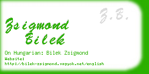 zsigmond bilek business card